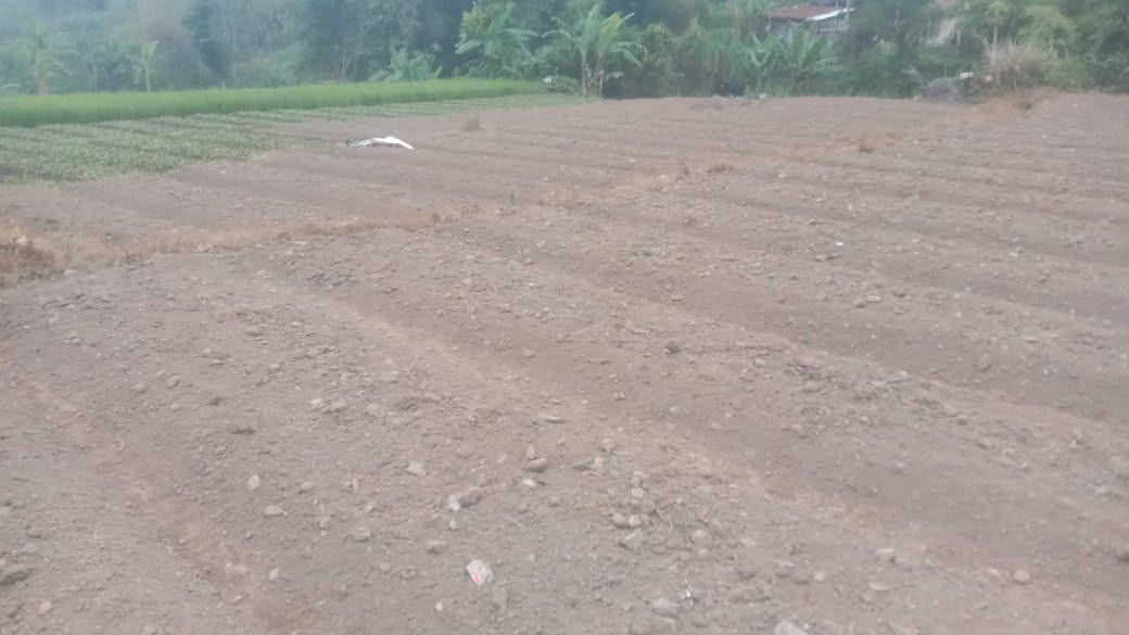 Tanah kosong Cicurug Cidahu Sukabumi