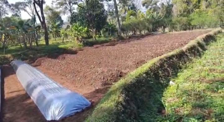 Lahan Darat Cocok Buat Bangunan Rumah Sambil Berkebun Ciapus Ciomas Bogor