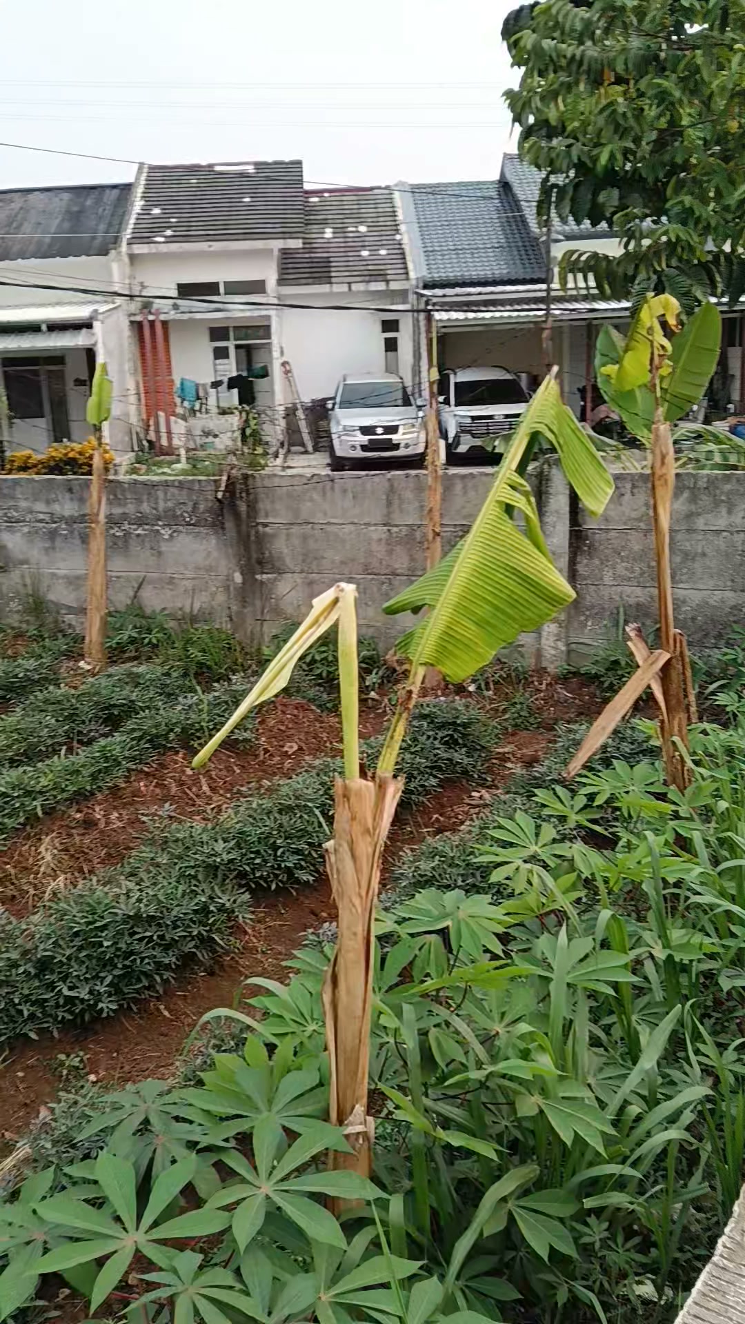 Tanah atau Lahan Belakang Sentra Danau Kemuning Cimanggis