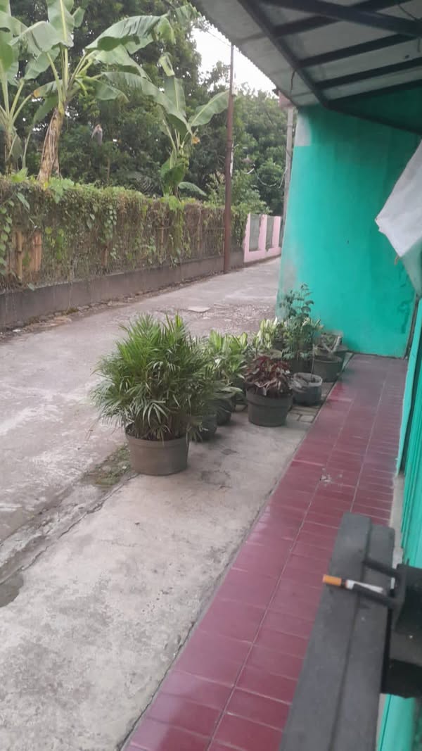 Foto Dijual Rumah - Rumah Murah
