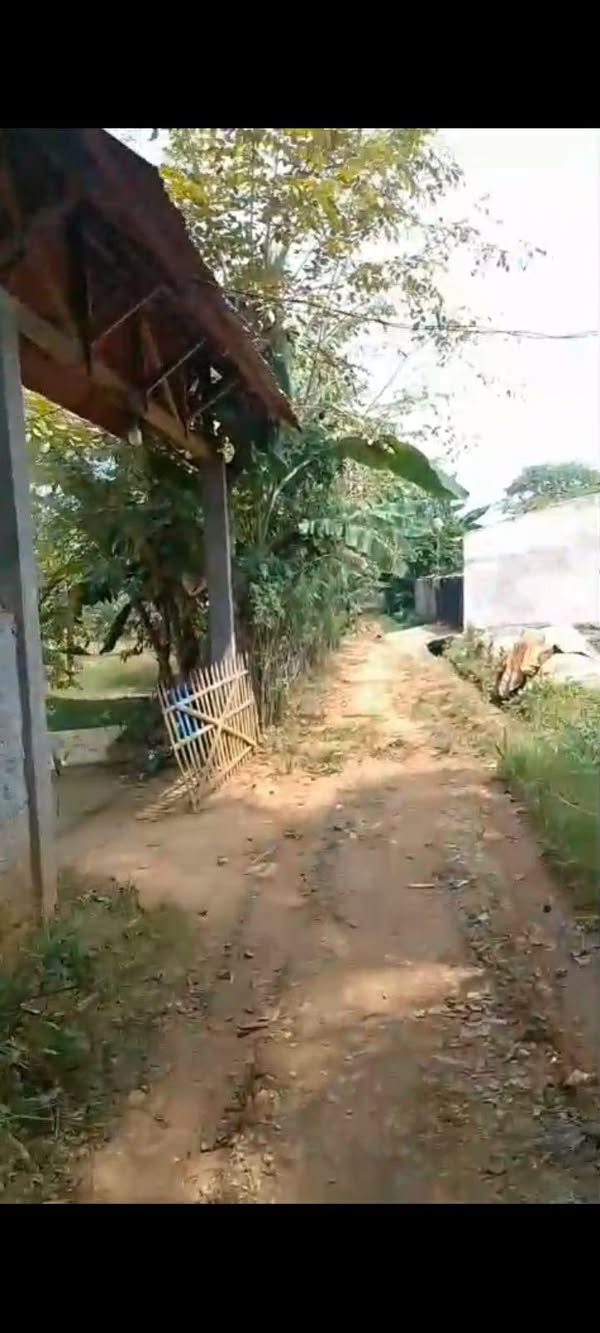 Tanah di Cibentang Ciseeng Parung Bogor