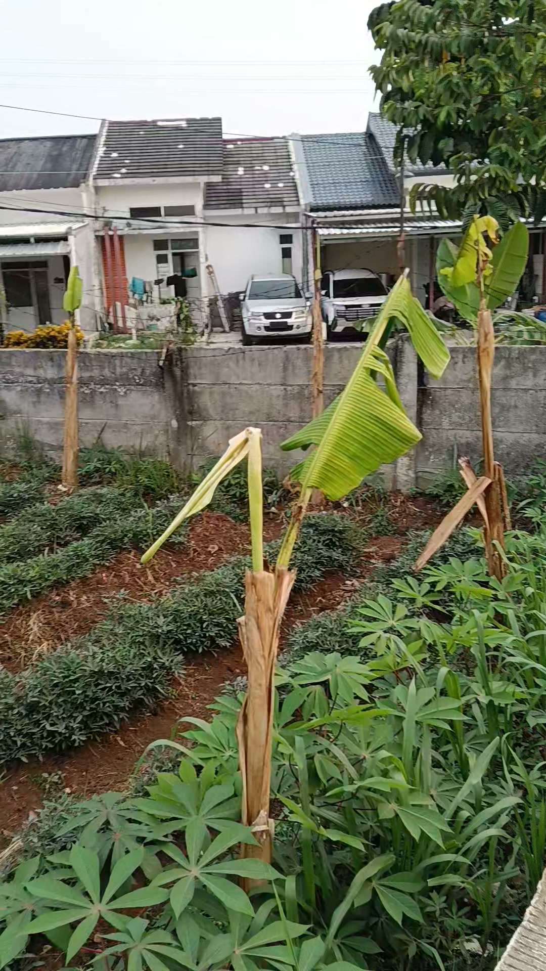 Tanah atau Lahan Belakang Sentra Danau Kemuning Cimanggis