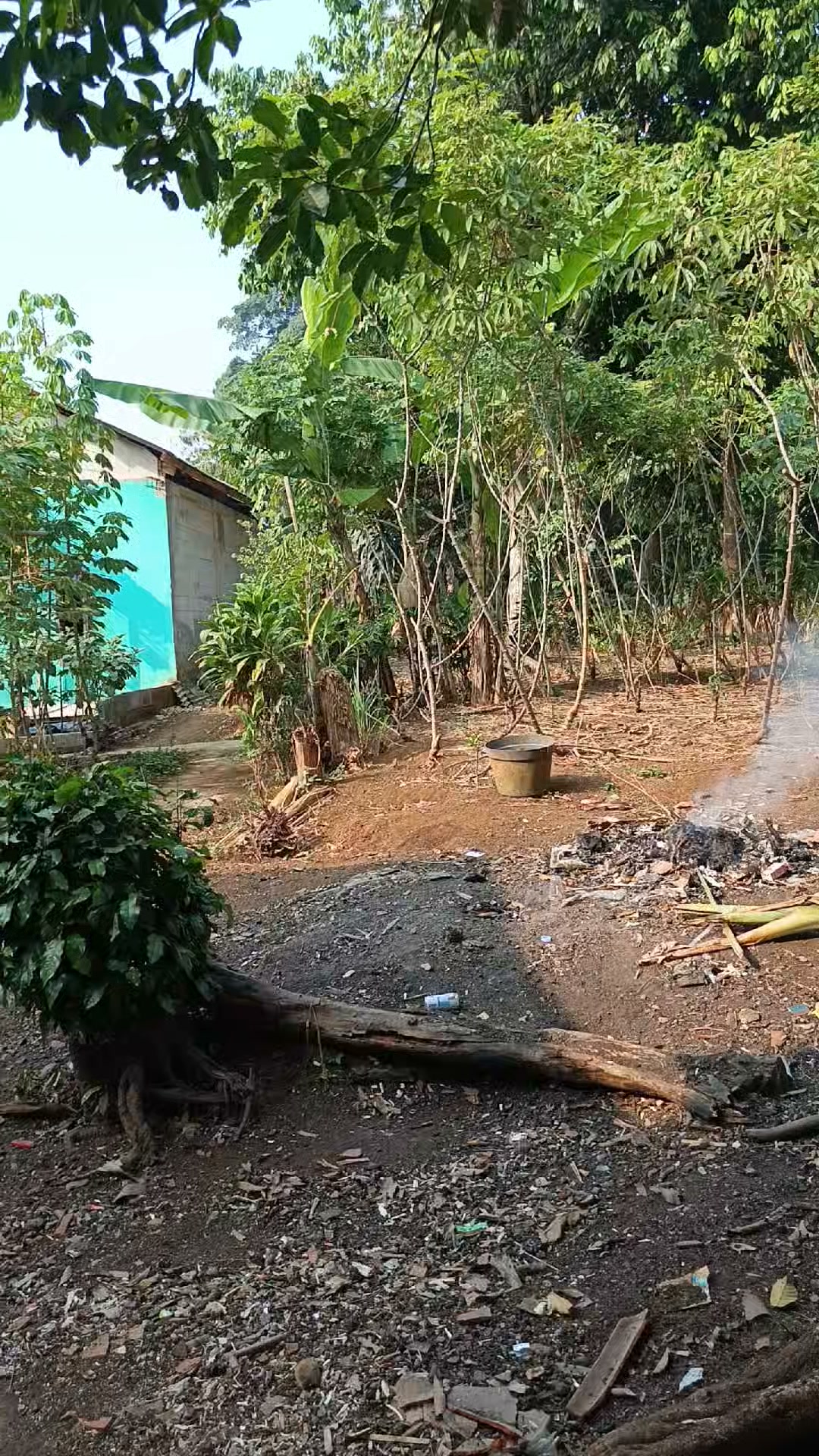 Tanah di Kp Parung Aleng Sukaraja