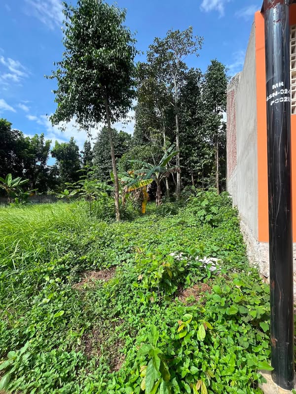 Tanah Gunung Sindur Bogor