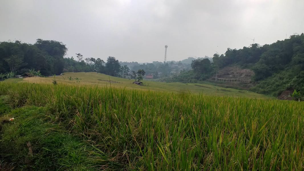 Tanah View Lepas Agro Wisata Gunung Salak Endah
