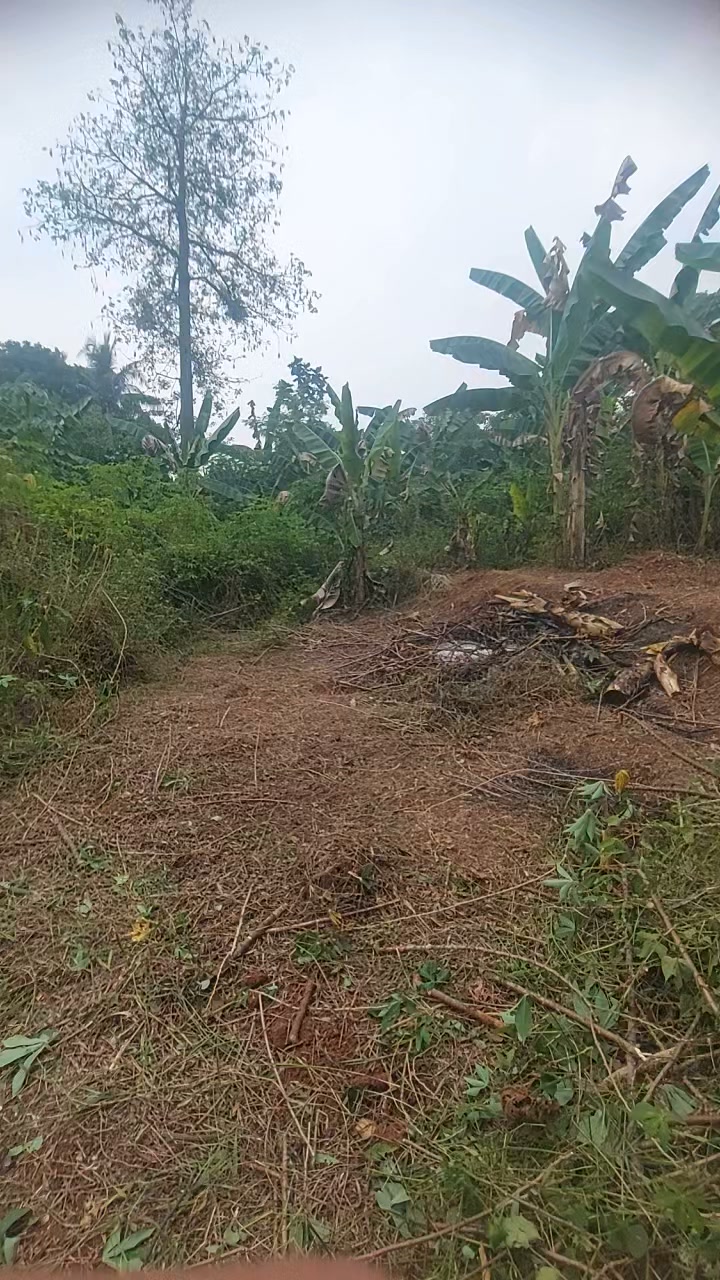 Lahan kebun akses motor Cibinong Citeureup