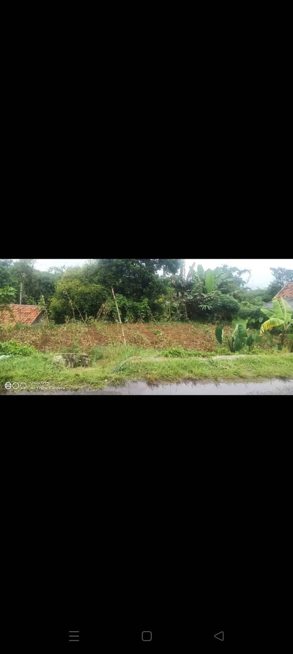 Tanah di Bogor Situ Daun
