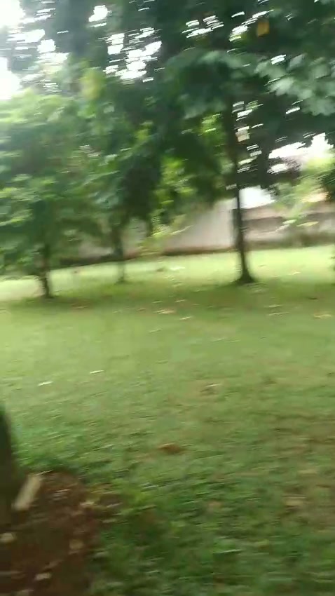 Lahan Cantik Pondok Ranji Ciputat Tangsel