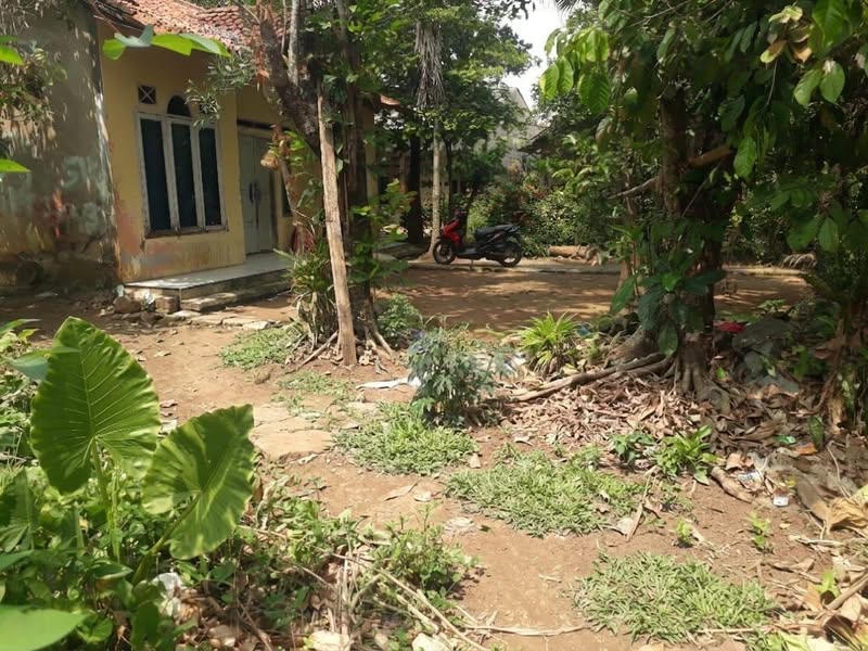 Tanah di Cibeteng Muara Ciseeng Bogor