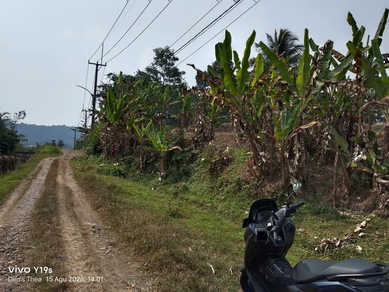 Tanah Cocok Untuk Ternak atau Berkebun Bogor Ciomas Ciapus