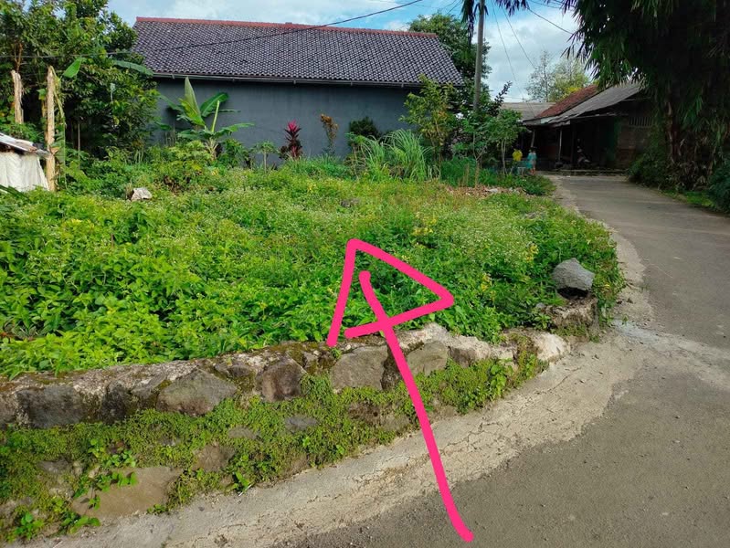 Foto Dijual Tanah di KABUPATEN BOGOR - Lahan Kosong Parakan Ciomas Bogor