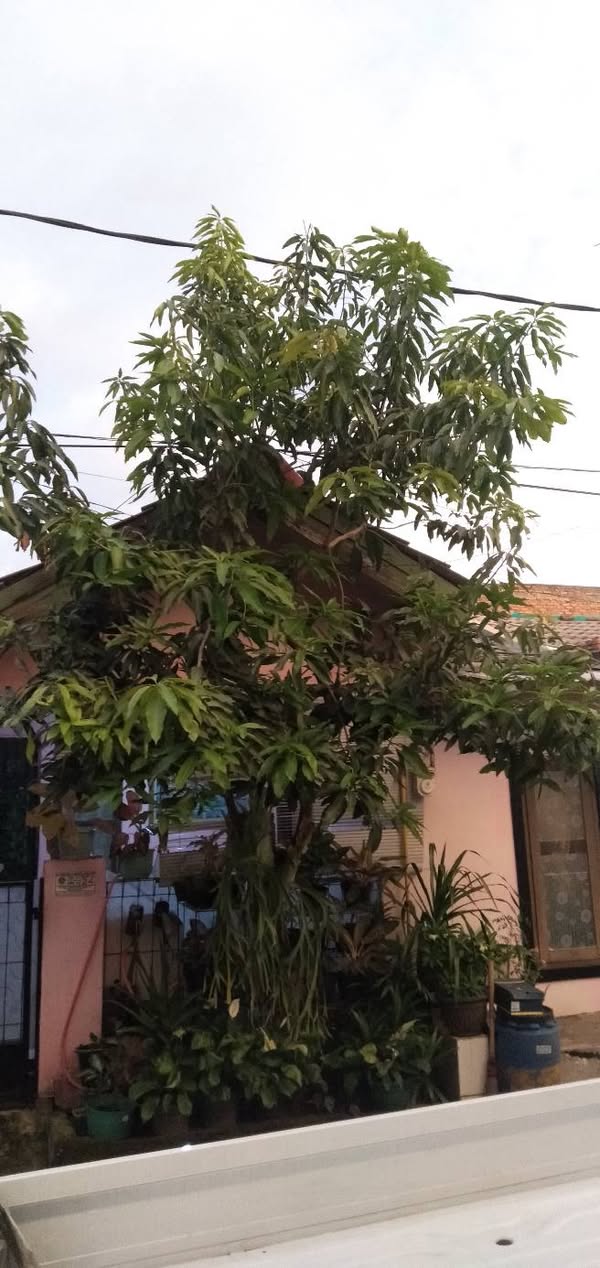 Rumah Pribadi Perum Puspa Raya Bojong Gede