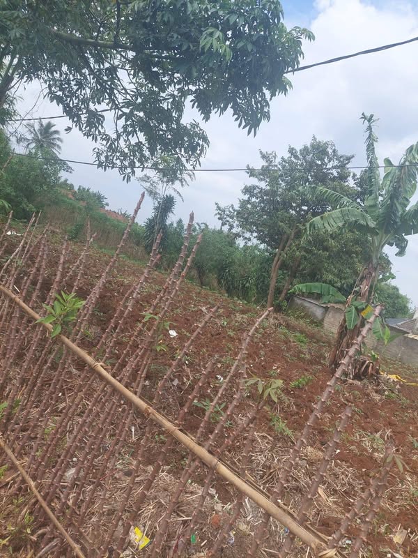 Tanah Strategis Kp. Sudi Mampir Desa Cimanggis Bojong Gede Bogor
