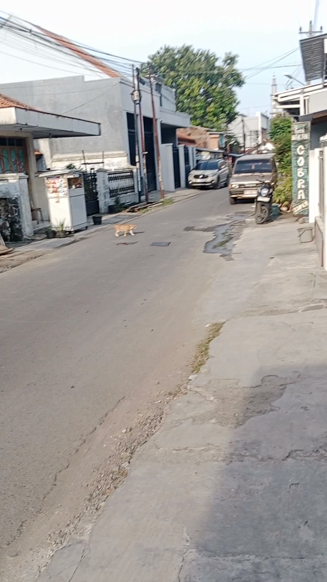 Rumah di Jalan Jeruk Kota Tegal