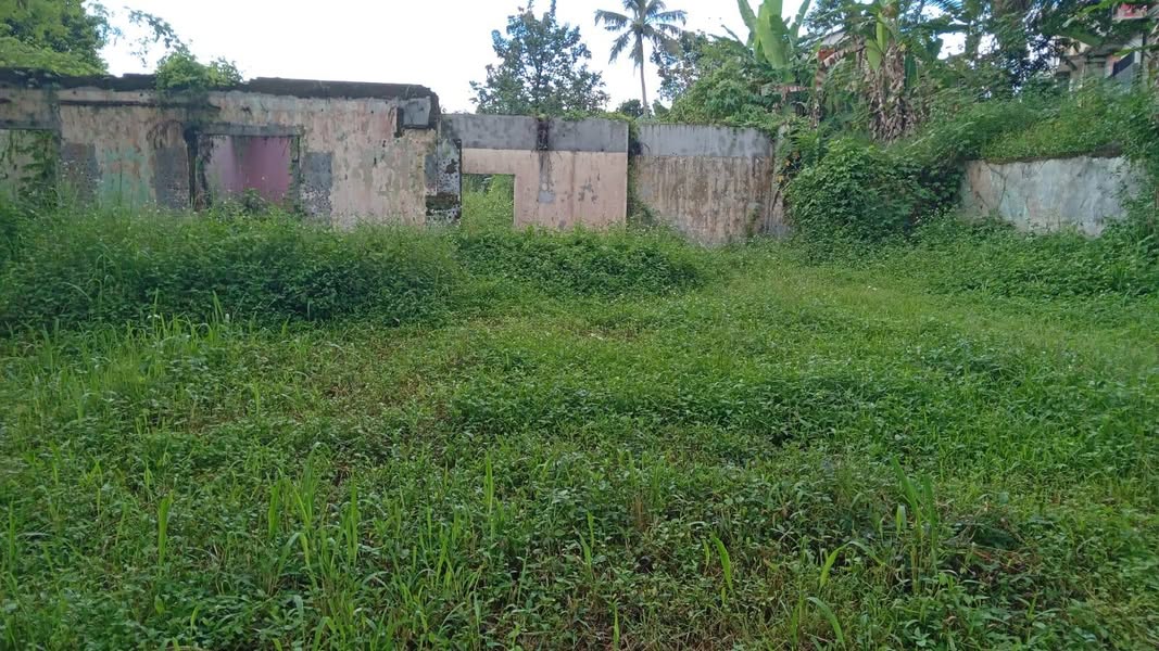 Tanah Cihideung Babengket Sinagar Cibanteng Bogor