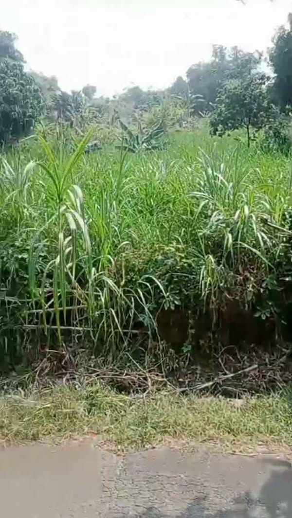 Tanah di Rumpin Bogor