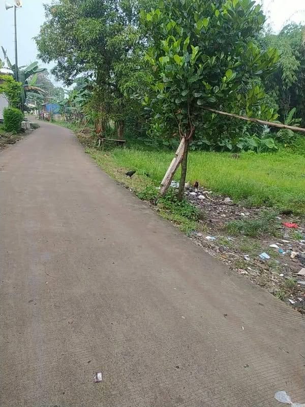 Tanah di Gunung Sindur