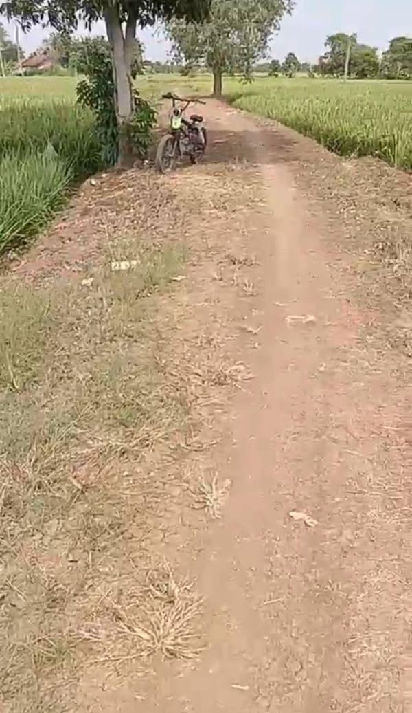 Sawah di Bogor