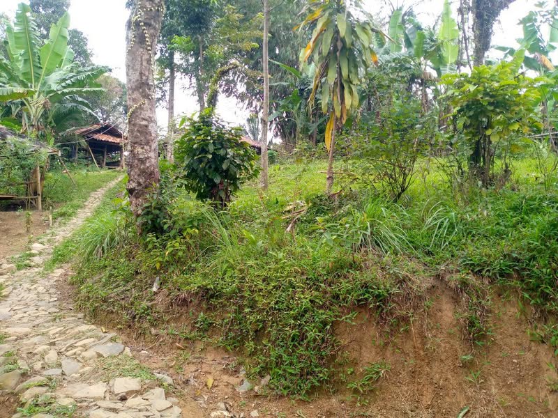 Tanah Jonggol Sukamakmur
