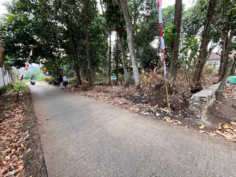 Lahan kosong, Tanah, Rumah kawasan bogor kota - bogor kabupaten