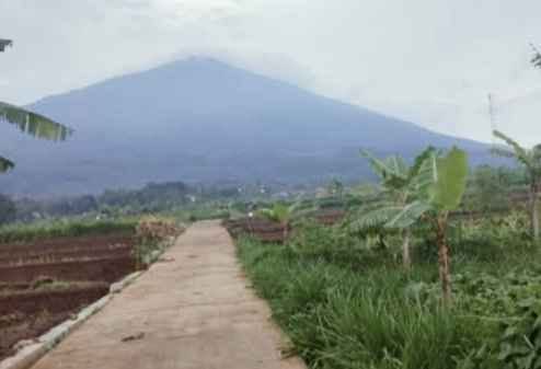 Tanah View Gunung Linggarjati Jalaksana