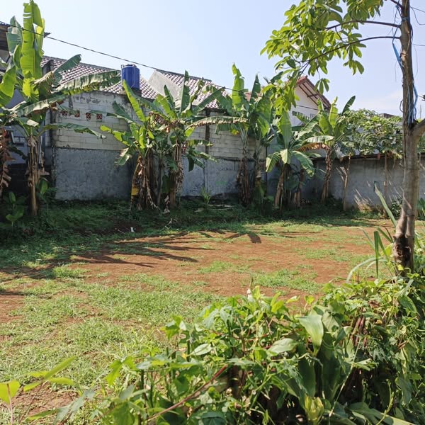 Tanah Ciawi Bogor