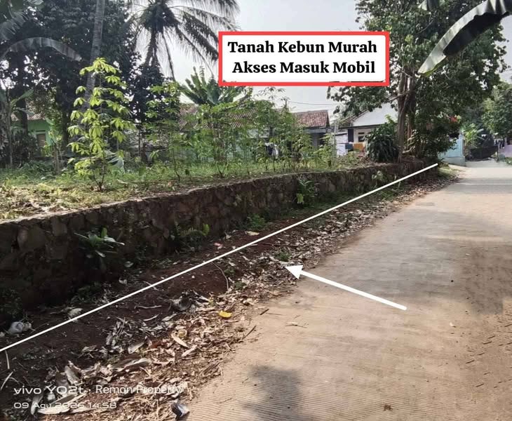 Tanah Kebun Rancabungur Kemang Bogor