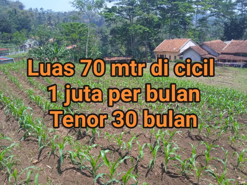 Rohmat Tulloh