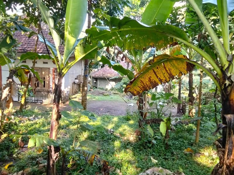 Foto Dijual Tanah di KABUPATEN PURWAKARTA - jual beli tanah purwakarta,Wanayasa,pondoksalam | Di jual tanah kosong bisa di cicil ke pemilik | Facebook