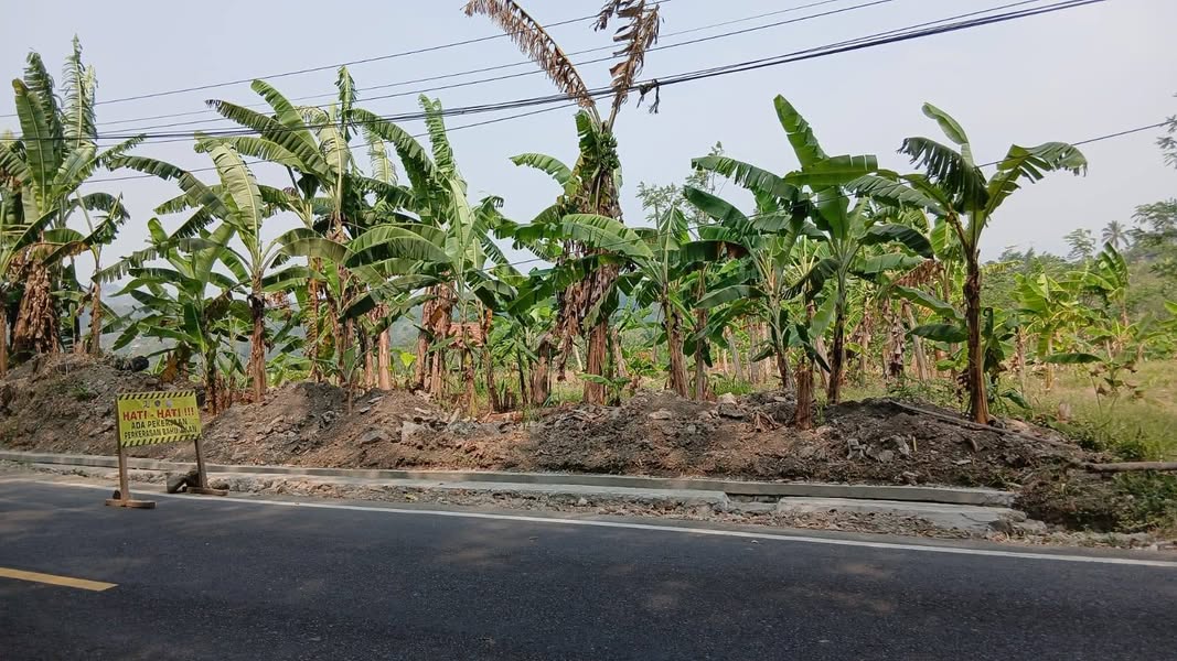 Tanah Darat Pinggir Jl. Nasional
