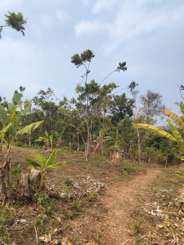 Tanah dan Villa Garut Kota