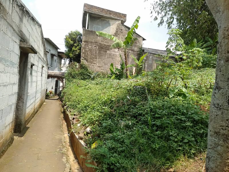 Tanah Padat Pasir Impun