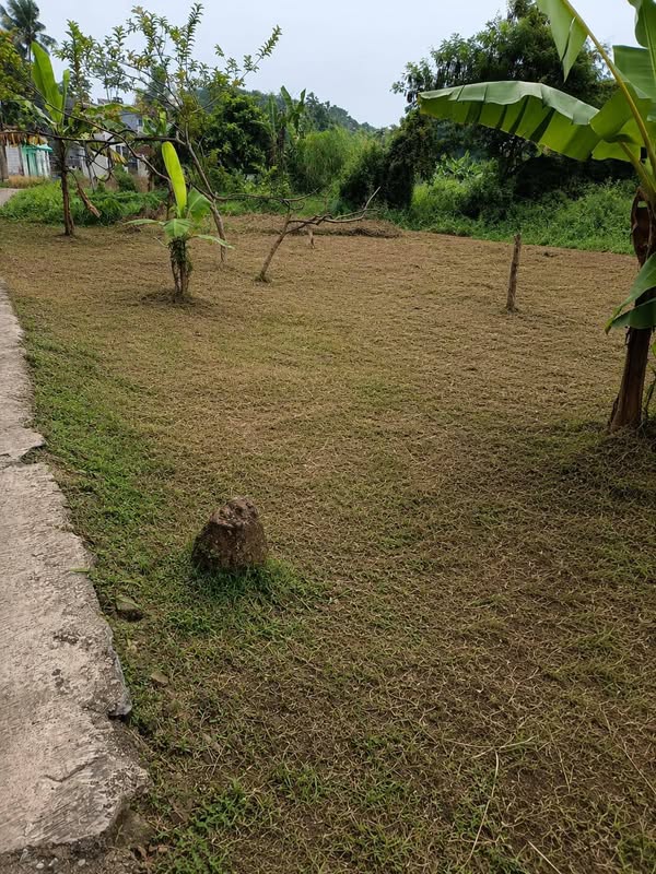Tanah murah di Bogor