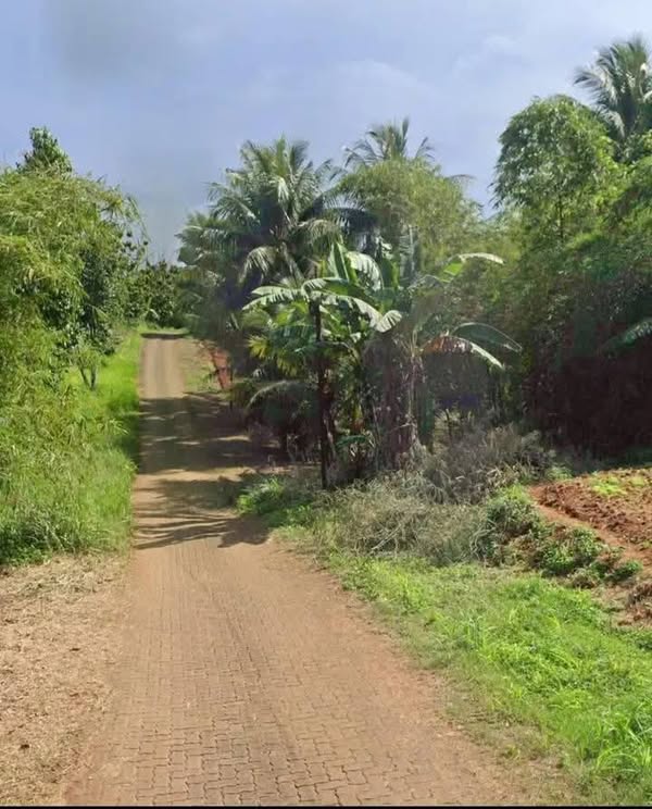Lahan tanah darat dan tanah empang di Parung Hijau 2 Tajur Halang