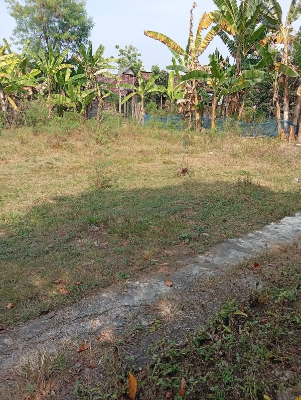 Tanah Kapling Jati Tengah Sukodono