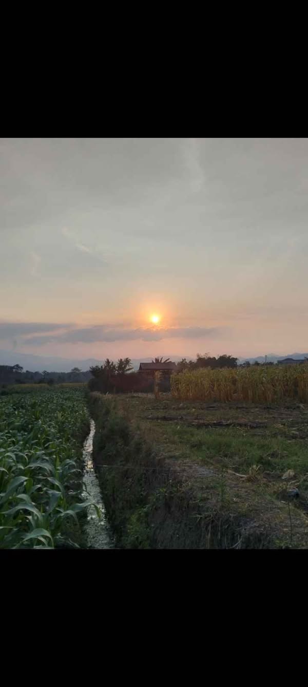 Tanah Kebun View Gunung Cikuray Garut Kota Intan