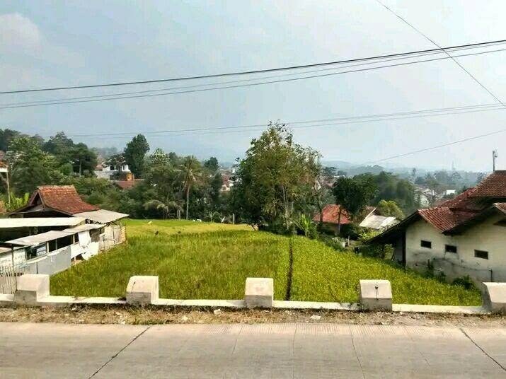 Sawah pinggir jalan di lalui angkot baros-banjaran area baros arjasari