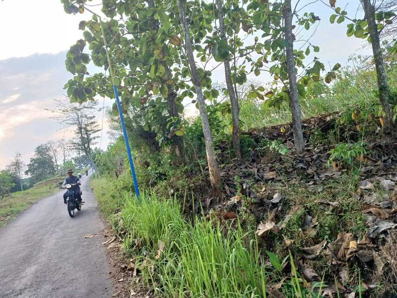 Tanah Murah Di Barat Pom Bensin Jalan Raya Pati Gembong Alternatif Pati Kudus