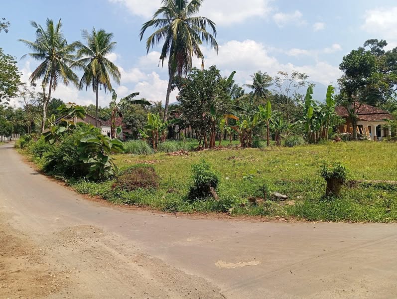 Tanah Murah Di Gembong Dekat Pasar Gembong Pati