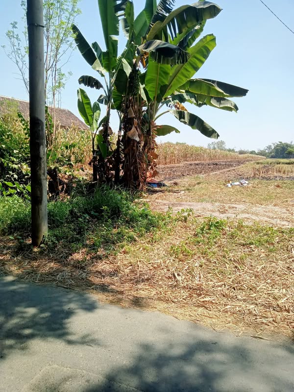 Tanah nol jalan aspal Puri Tanggunan Mojokerto