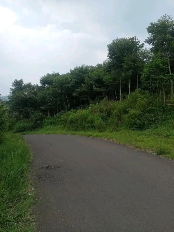 Tanah di Desa Sukawangi Bogor Jalan Puncak 2