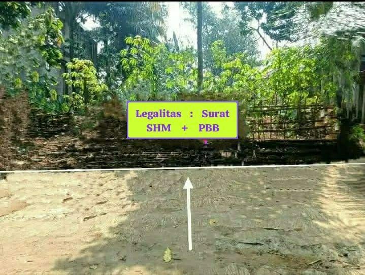 Tanah Kebun Murah