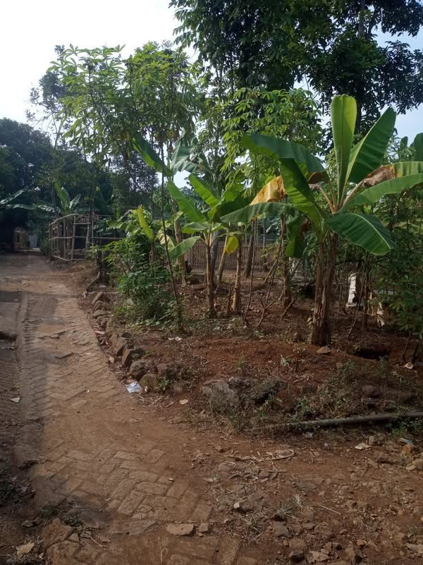 Tanah dan Rumah di Purwakarta