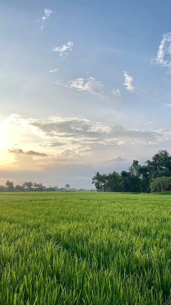 Rumah Baru Full Bonus Pameungpeuk