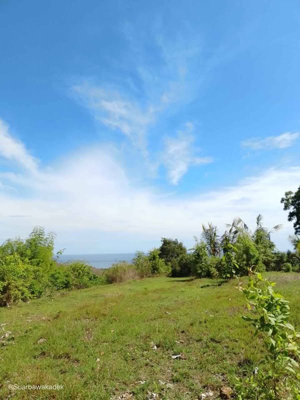 Tanah View Laut Kubutambahan Bali Utara