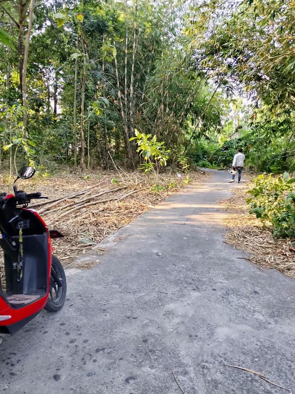 Tanah di Dusun Mulekan 2 Desa Tirtosari Kretek