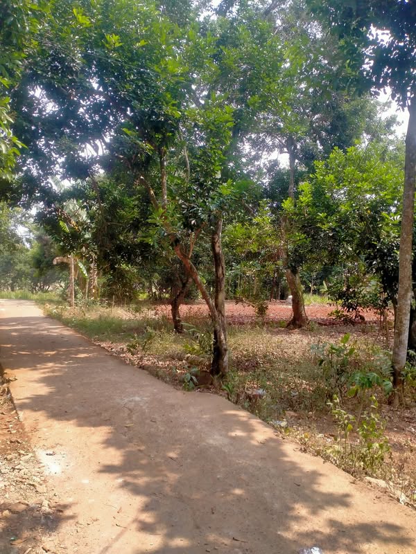 Tanah darat strategis Setu Bekasi