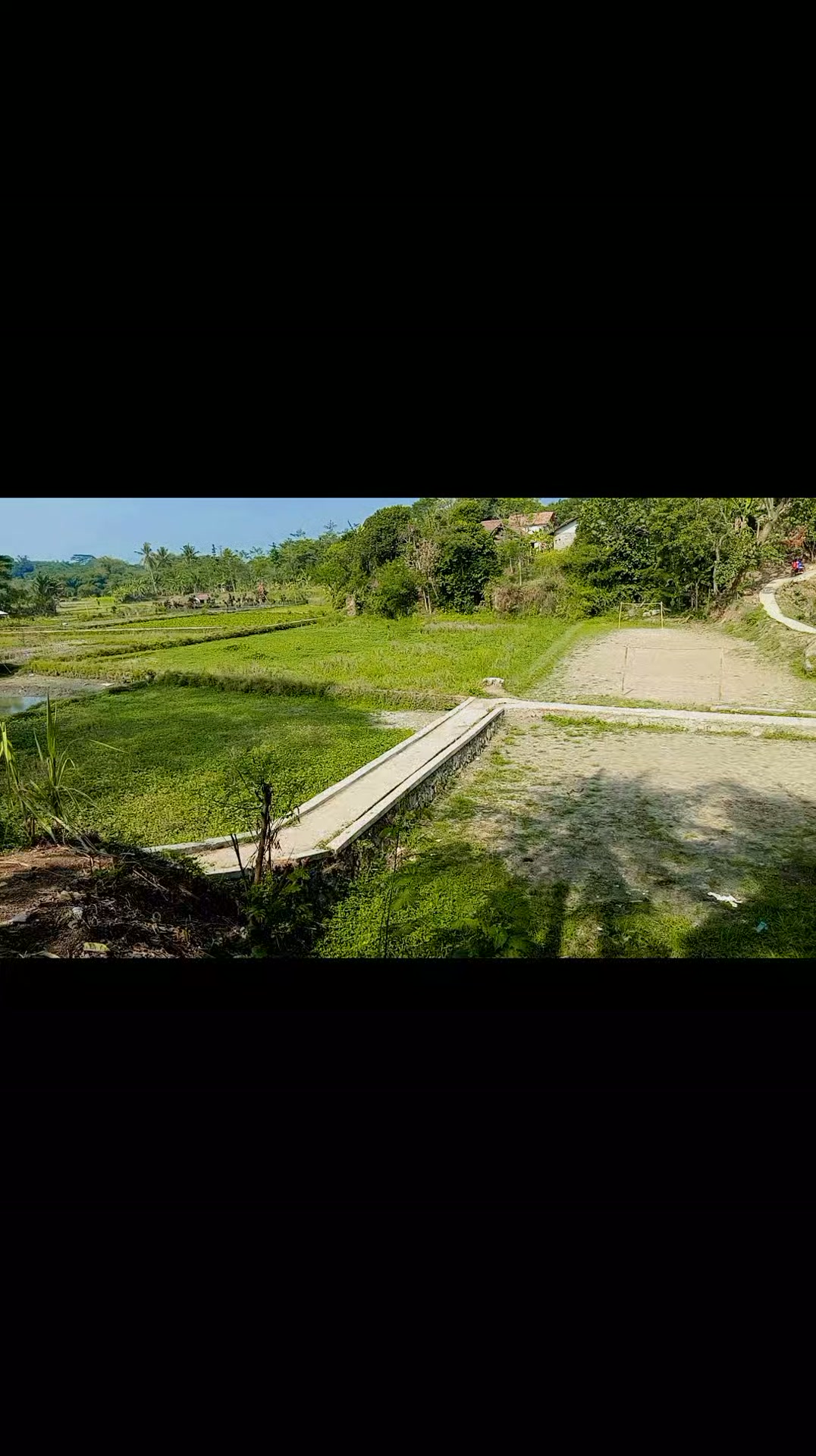 Dijual Tanah Sawah 600m2 di Cilalawi Sukatani Purwakarta