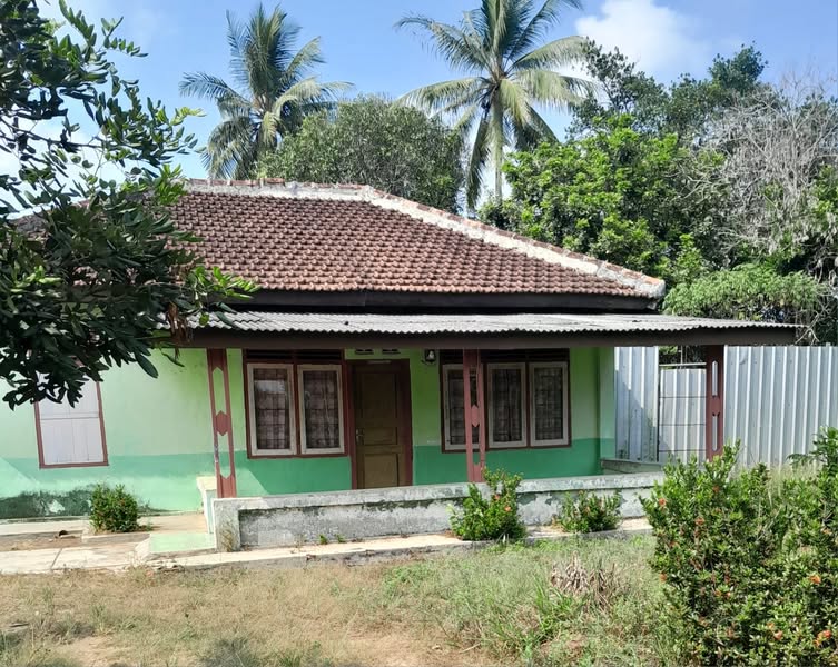 Dijual Cepat Rumah dan Tanah Luas 1600m² di Lampung Tengah