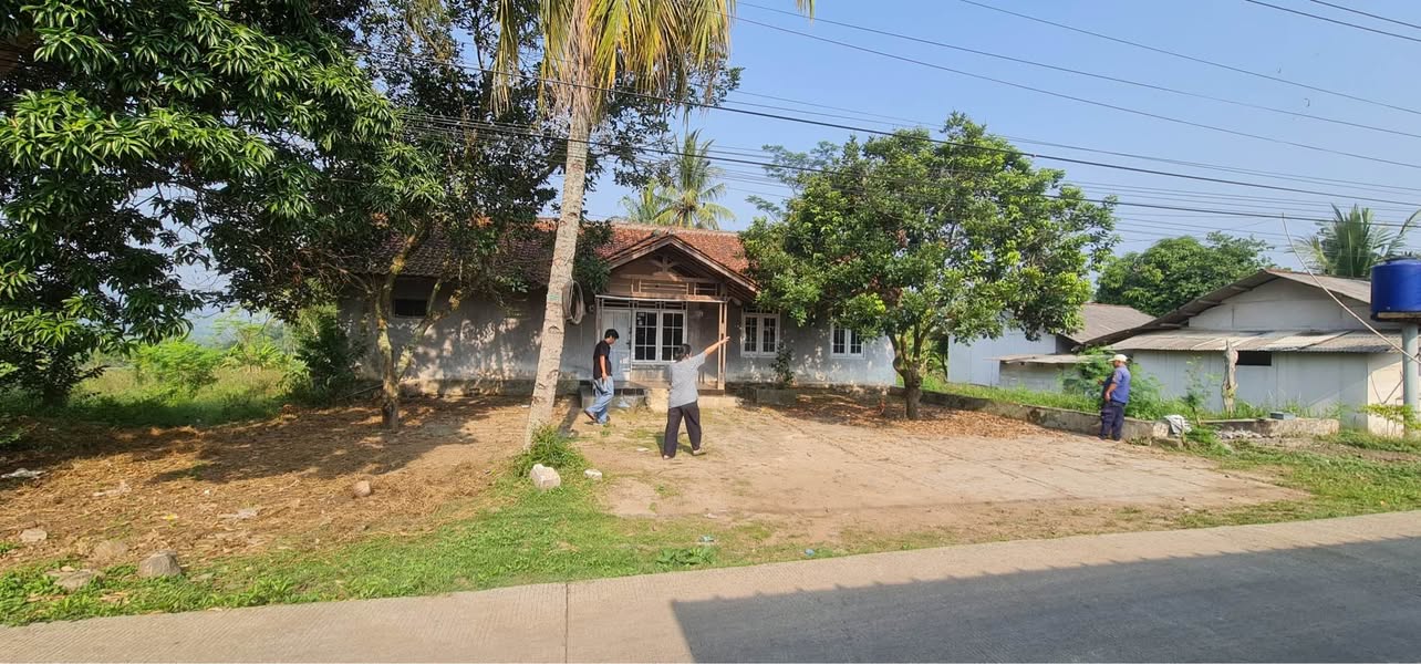 Dijual Rumah dan Tanah Produktif 1 Hektar Lebih di Cianjur